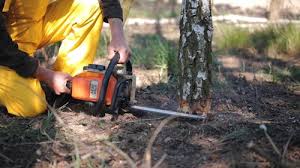 Best Commercial Tree Services  in Huron, SD